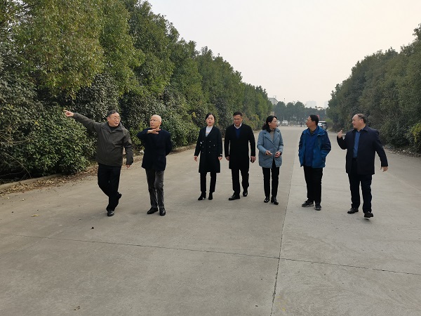 今年会·(中国集团)官方网站